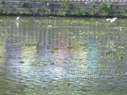 鲤城仙游111.jpg