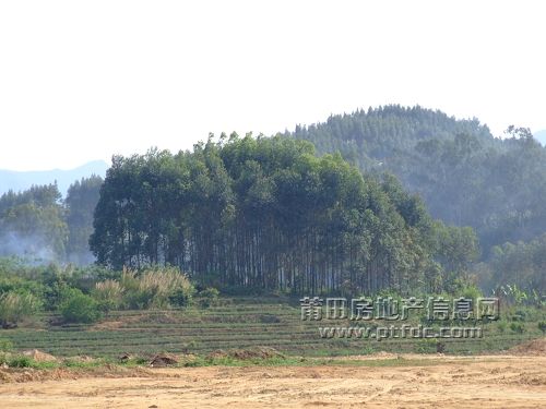 鲤城仙游82.jpg