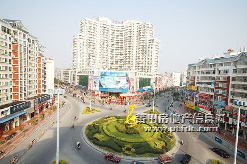 连鸟圆圈.jpg