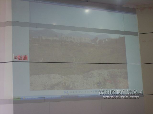拍卖会 (9).JPG