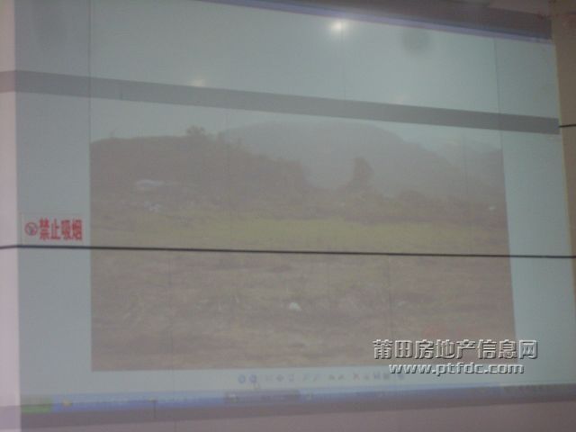 拍卖会 (10).JPG