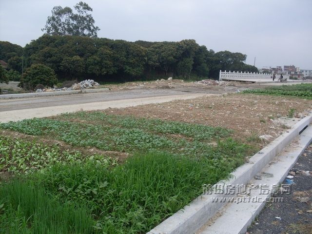 晕_11.JPG