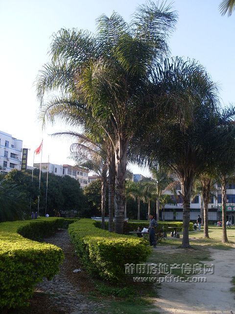 新光影剧院6.JPG