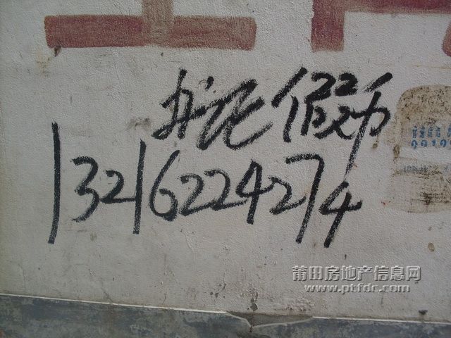 野广告_6.JPG