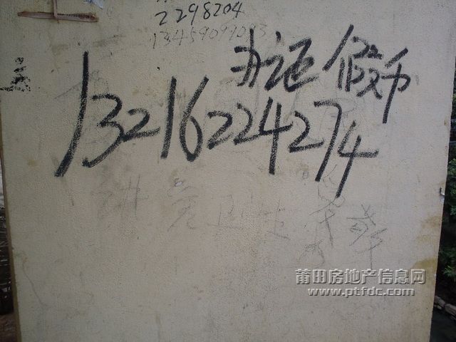野广告.JPG