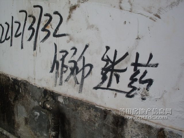 野广告_4.JPG