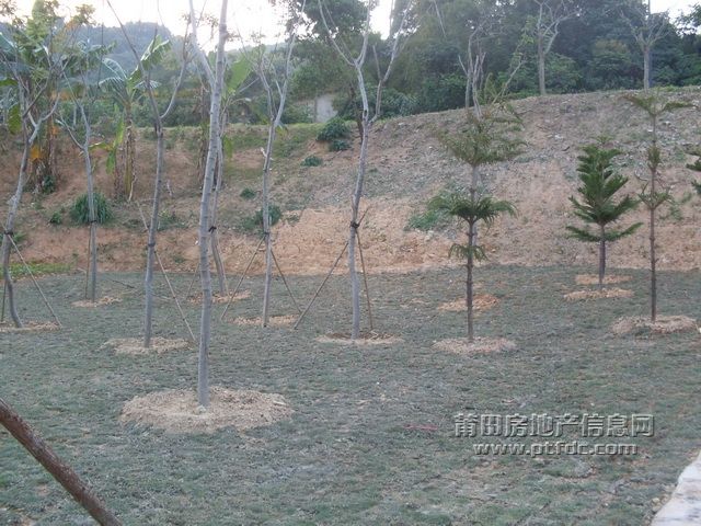 1_04.JPG