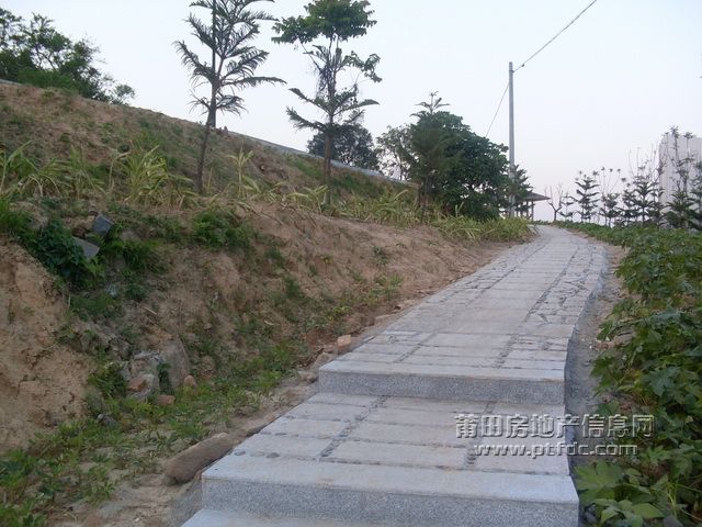 1_05.JPG