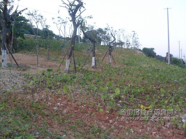 1_03.JPG