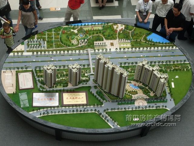 SDC10624.JPG
