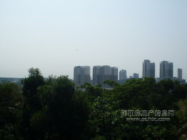 B_05.JPG