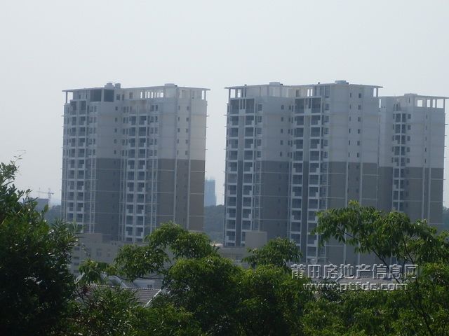 B_06.JPG