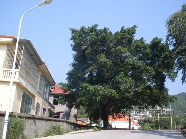 B_14.JPG