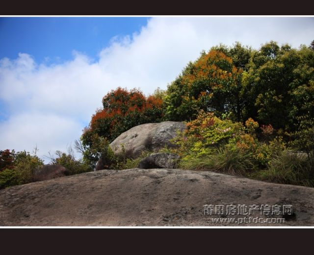 麦斜岩1.jpg