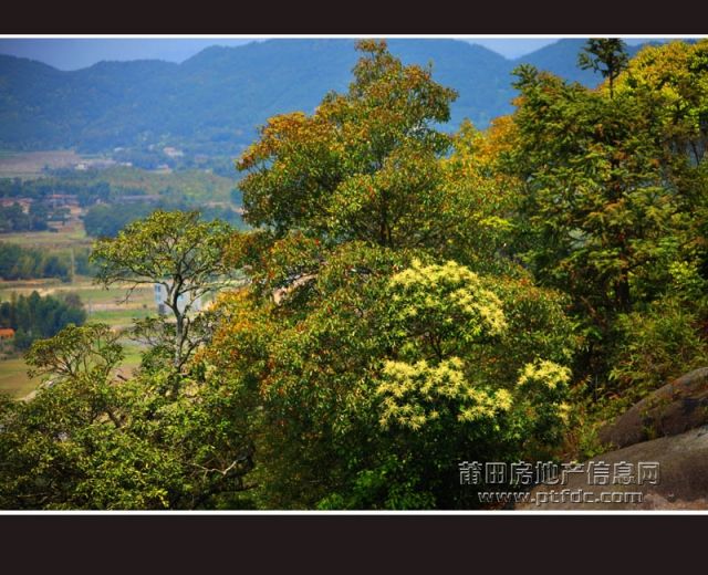 麦斜岩9.jpg