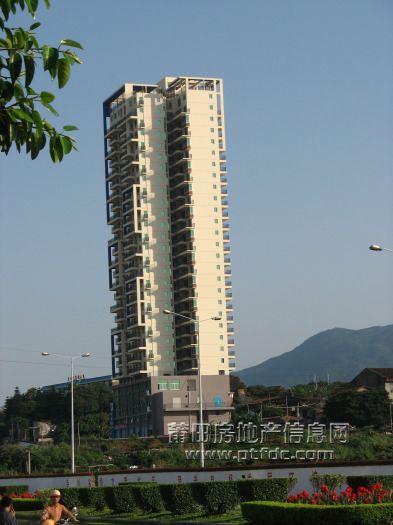 IMG_7565.jpg