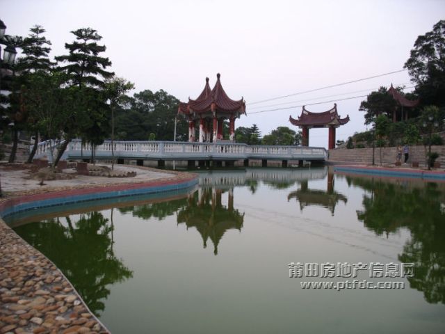 IMG_7617.jpg