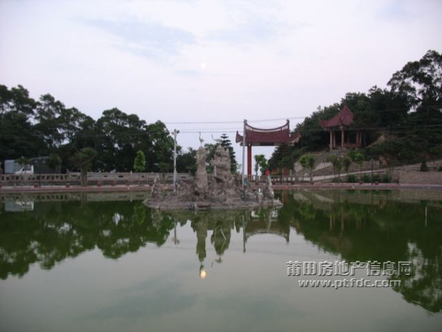 IMG_7623.jpg