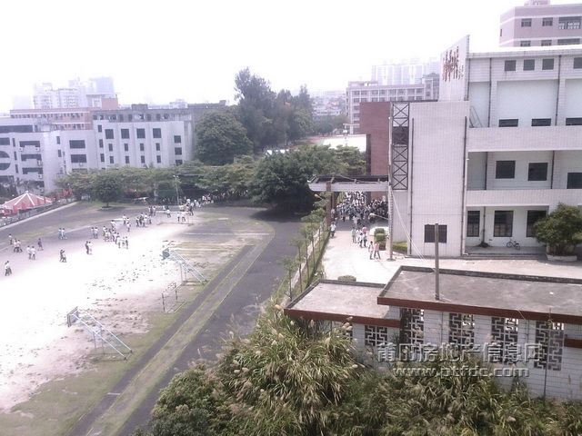 20090607113612.jpg