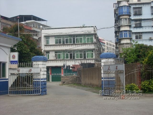 龙桥8.JPG