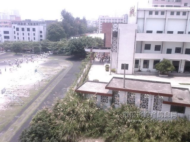 20090607113528.jpg
