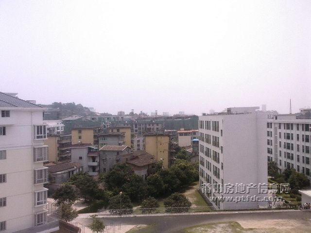 20090607113555.jpg
