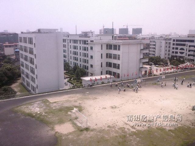 20090607113546.jpg