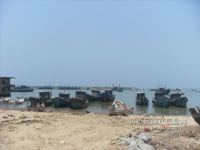 218.jpg