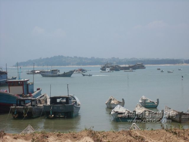 215.jpg