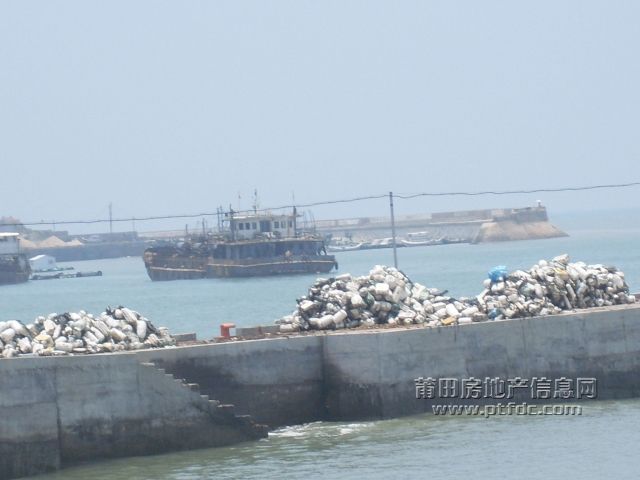 219.jpg