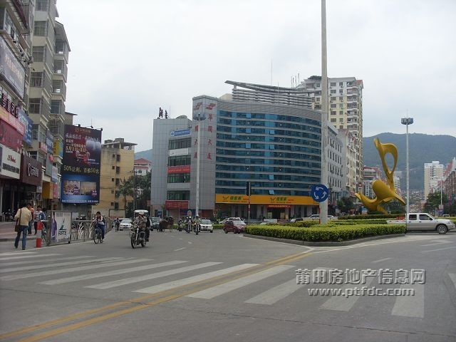 三只鸟_4.JPG