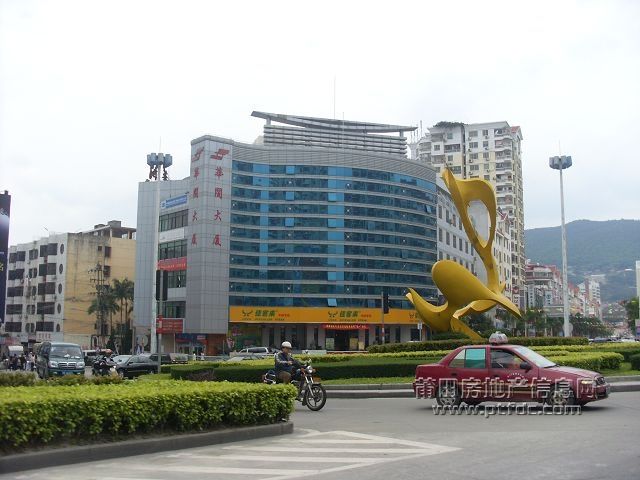 三只鸟_5.JPG