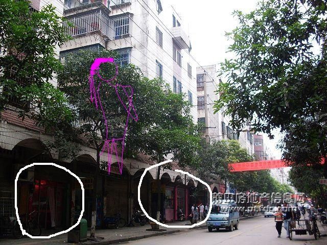 20090617.jpg