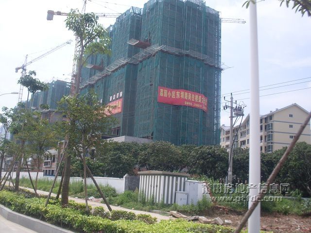 荔园小区商住楼4.jpg