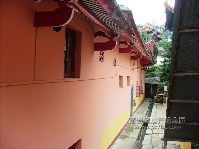 49.jpg