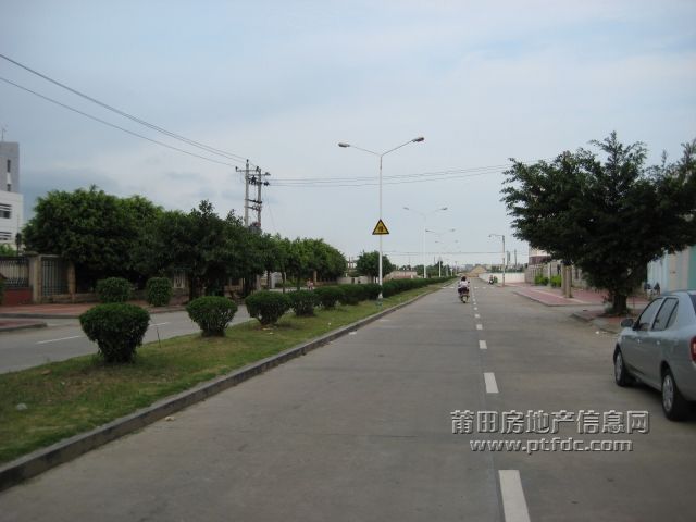 IMG_7043.jpg