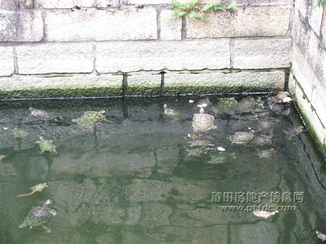 广化寺12.jpg