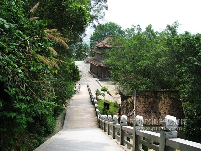广化寺44.jpg