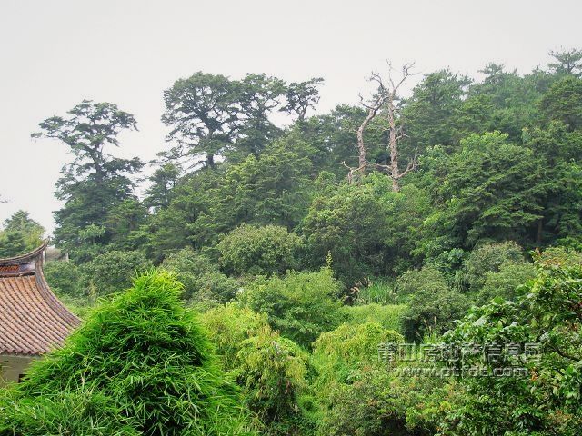 广化寺46.jpg