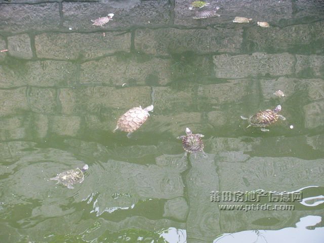 广化寺13.jpg