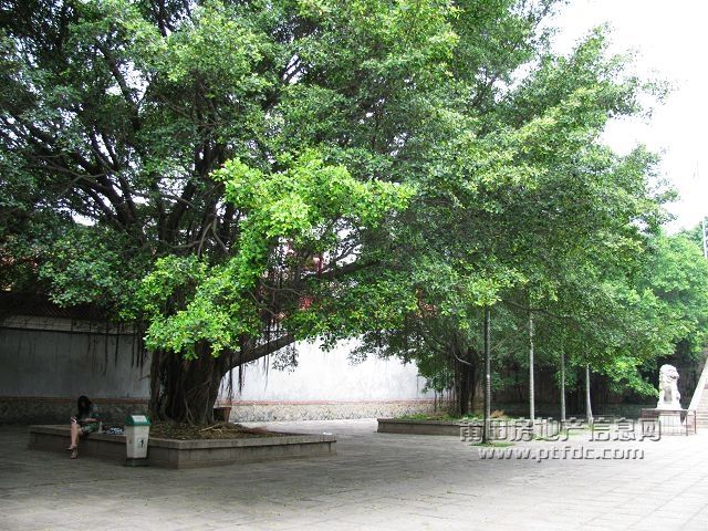 广化寺4.jpg