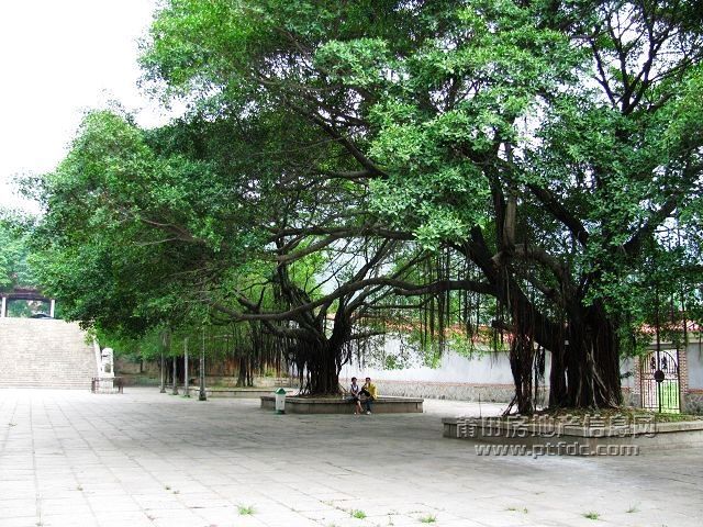 广化寺3.jpg