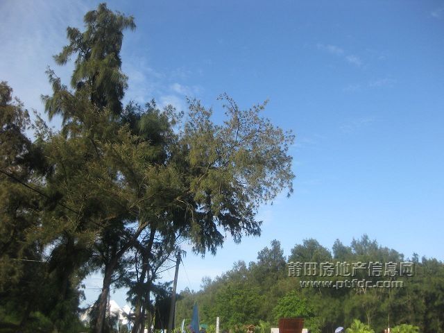 湄洲岛 (8).jpg