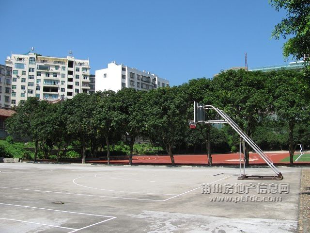 税校 (50).jpg