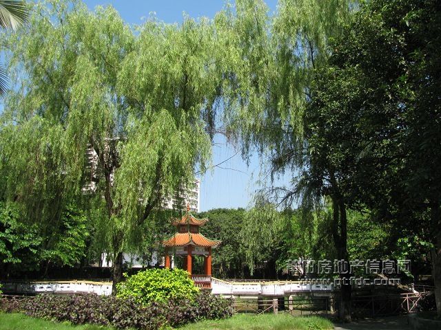 税校 (44).jpg