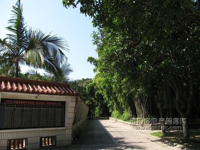 税校 (24).jpg