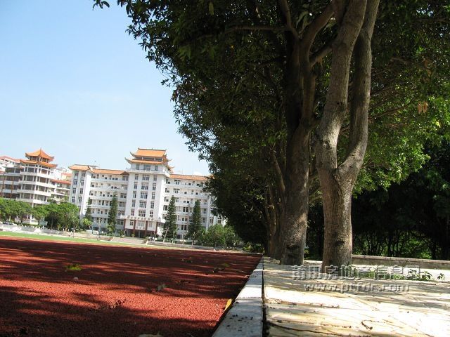 税校 (54).jpg