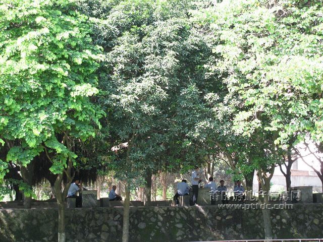税校 (37).jpg