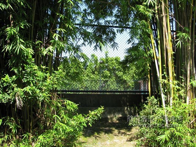 税校 (33).jpg