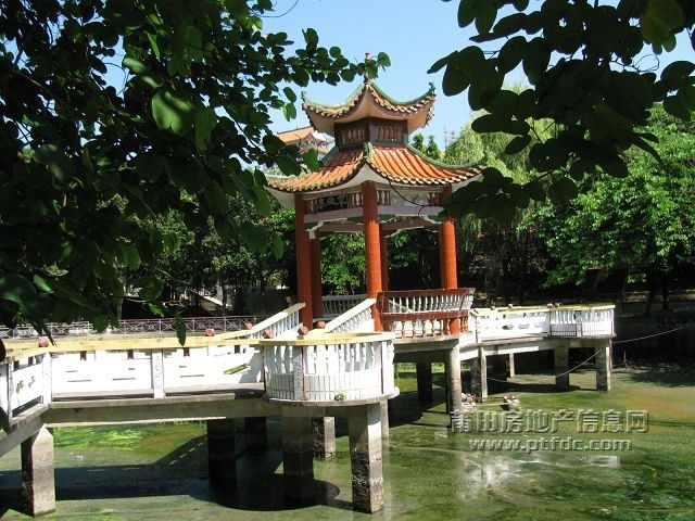 税校 (46).jpg